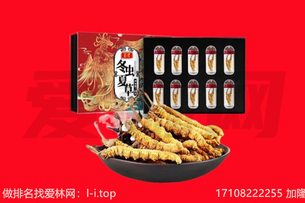 河口县回收虫草.jpg
